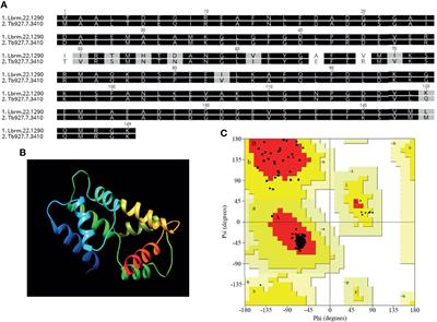 Targeted Deletion of Centrin in Leishmania braziliensis Using CRISPR-Cas9-Based Editing